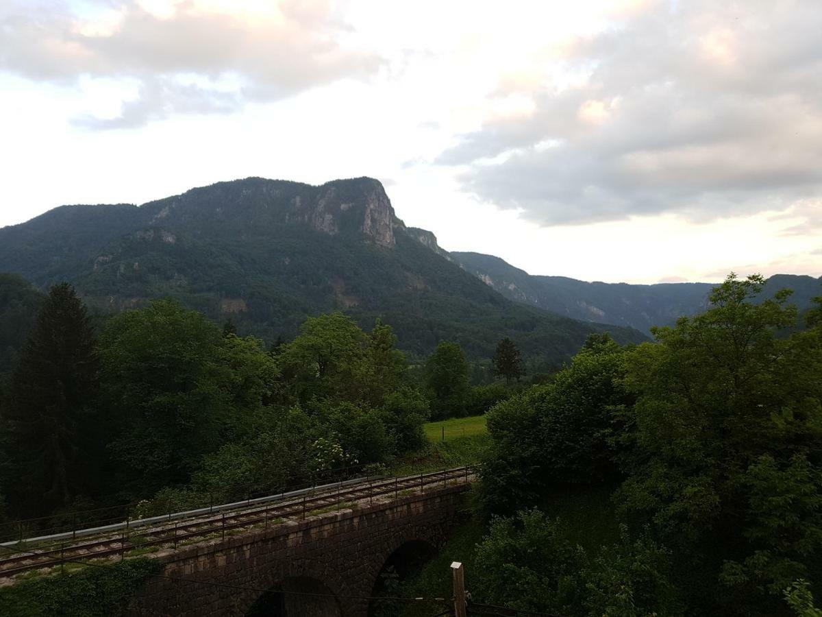 Apartmaji Zupan Bohinjska Bela Luaran gambar