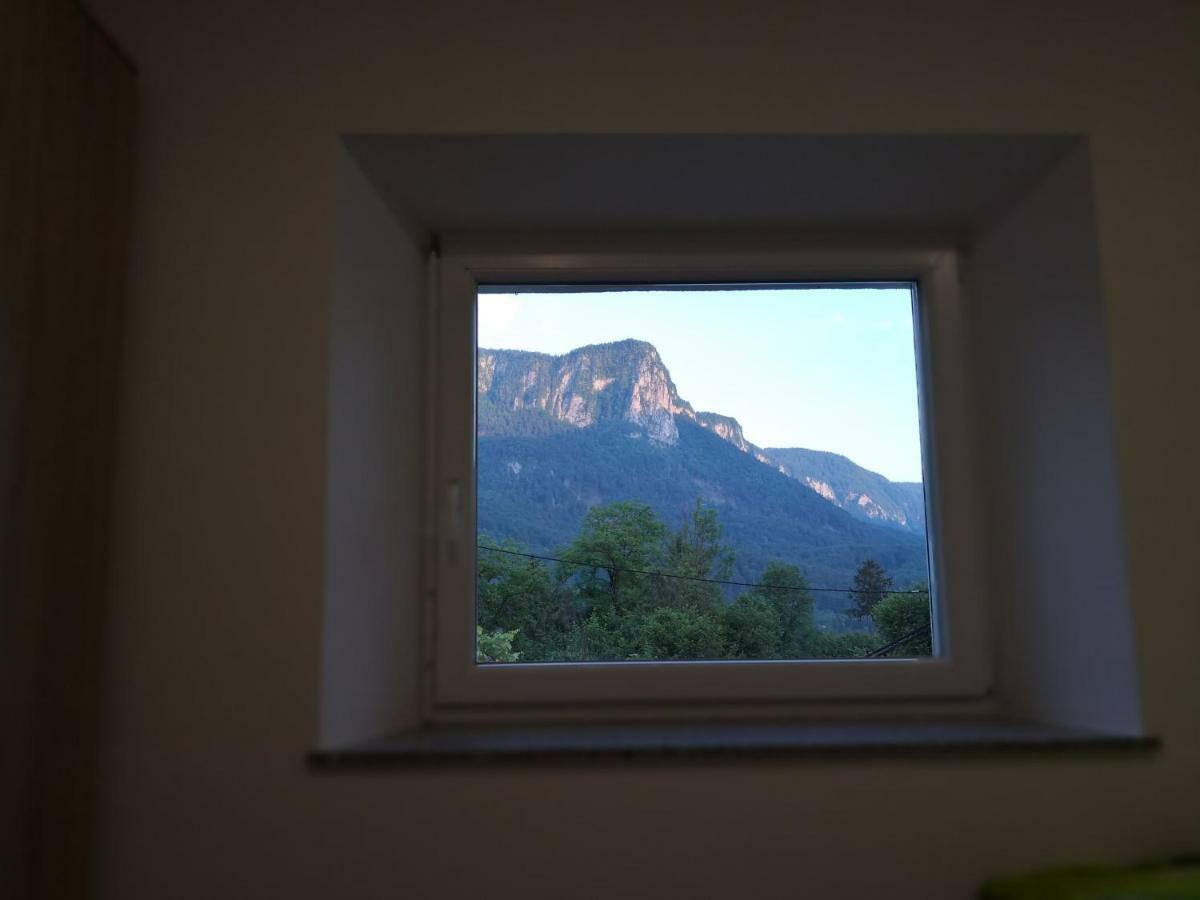 Apartmaji Zupan Bohinjska Bela Luaran gambar